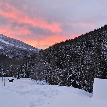 Отель Bouda Bile Labe Шпиндлерув-Млин Экстерьер фото