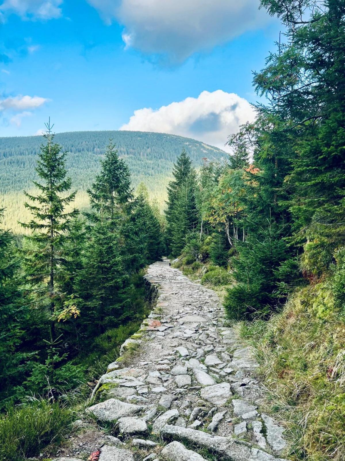 Отель Bouda Bile Labe Шпиндлерув-Млин Экстерьер фото